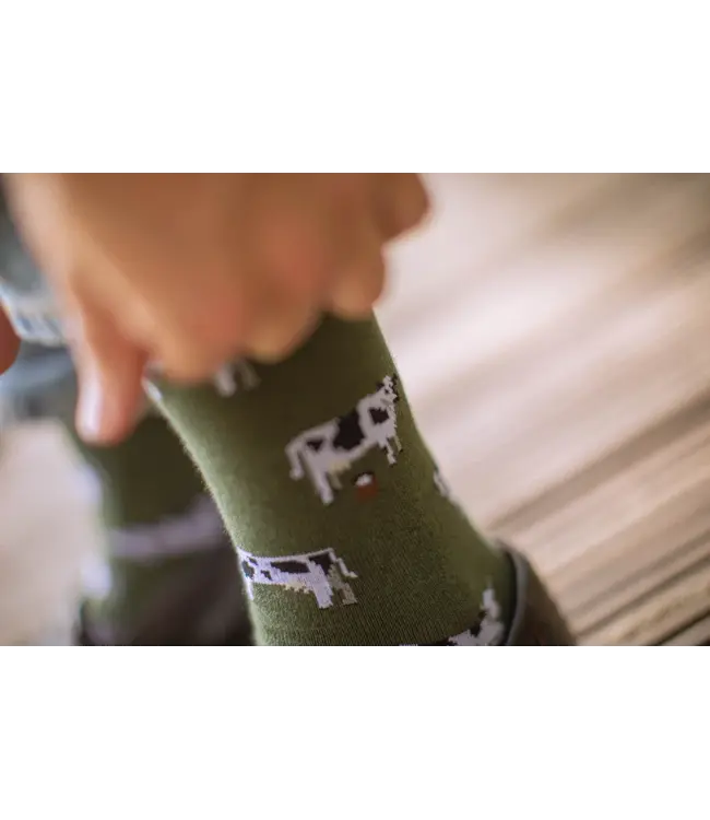 ALFREDO GONZALES Alfredo Gonzales Cows AG-SK-COW-01 Army