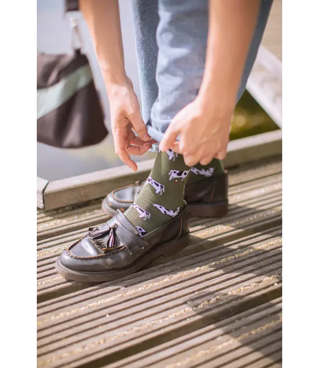 ALFREDO GONZALES Alfredo Gonzales Cows AG-SK-COW-01 Army