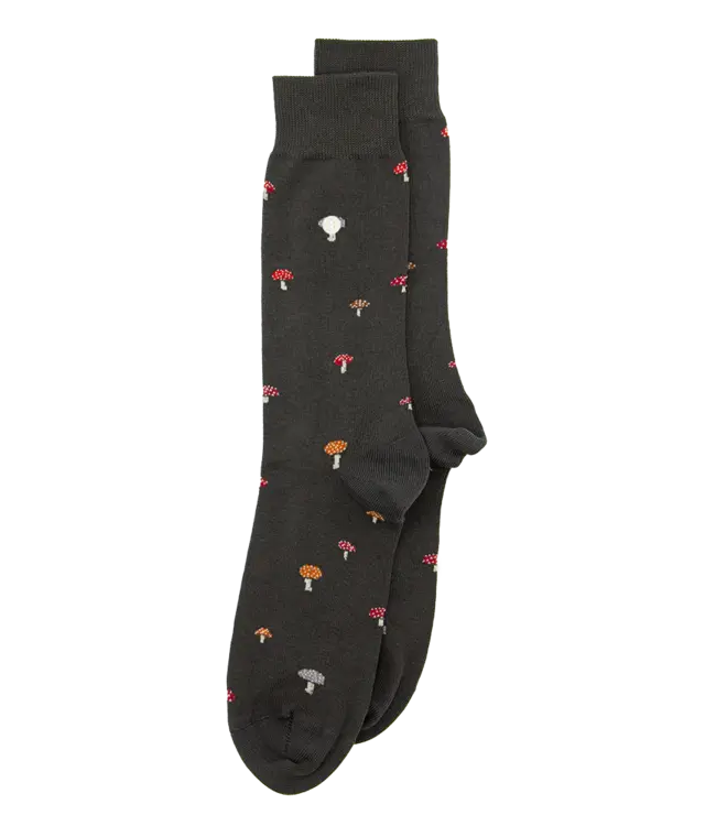 ALFREDO GONZALES Alfredo Gonzales Mushrooms SG-SK-MUSH-01 Anthracite