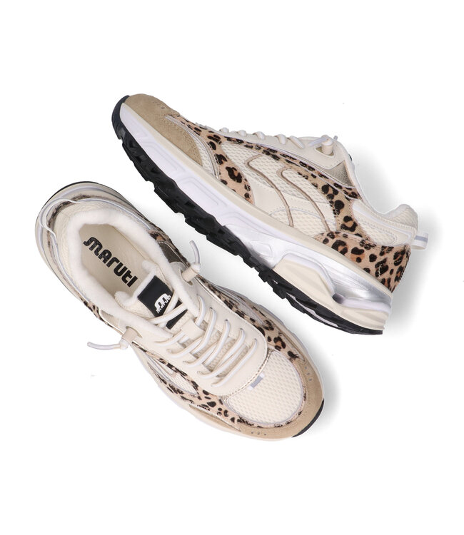 MARUTI Maruti 66.1893.01 Riva Leopard/Beige 3250