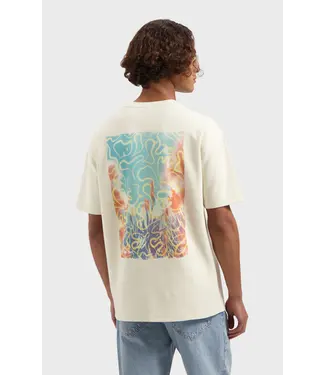 LAW OF THE SEA Law of the Sea DayDream Almond Milk LAW-10387-903