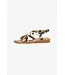 BLOWFISH MALIBU Blowfish Malibu April J7625S3202 Cow print/Bronze