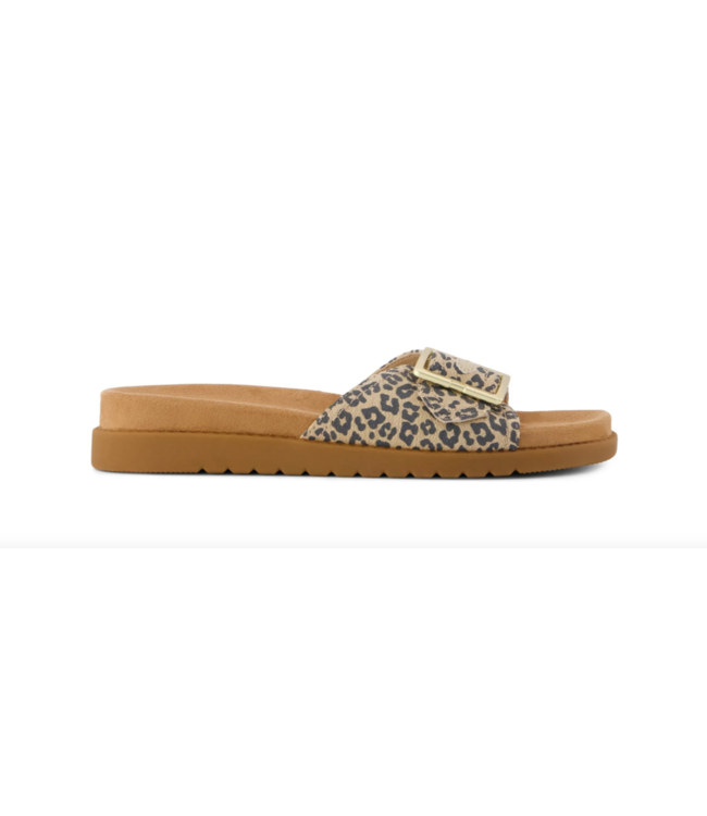 TOMS Toms 10023094 Marin Slide Leopard