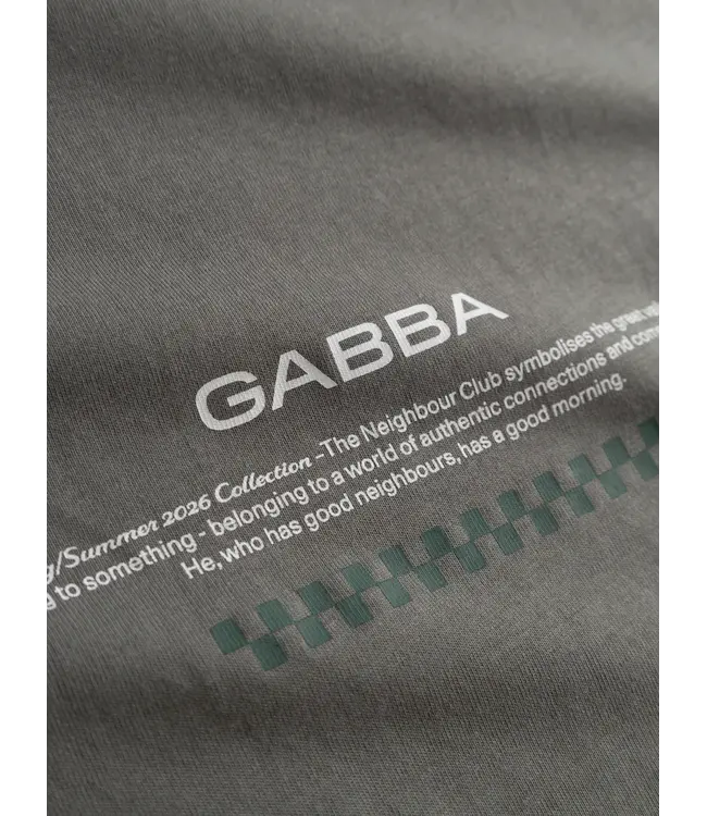 GABBA Gabba GABnigel Boxy NBH SS T-shirt Gots PO12026 Castor Gray