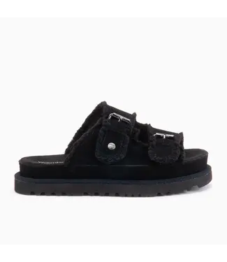 Warmbat Warmbat 33DST311099 Dysart Black