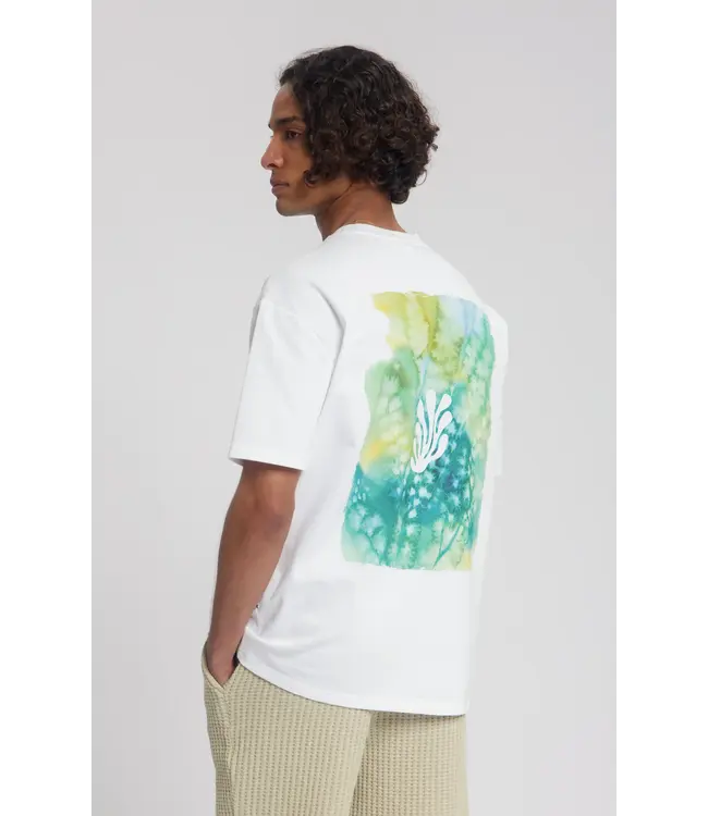 LAW OF THE SEA Law of the Sea Algae Law-10442 Bright White