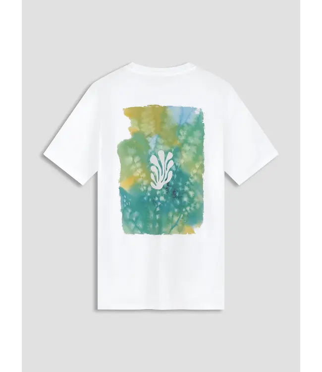LAW OF THE SEA Law of the Sea Algae Law-10442 Bright White