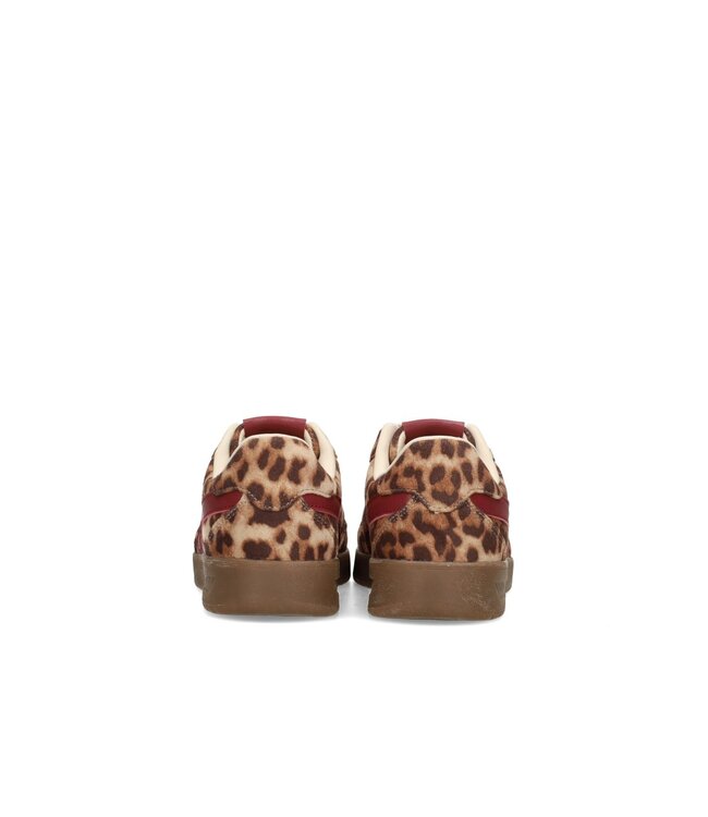 Posh by Poelman Posh by Poelman C1513403PSH7 Brown
