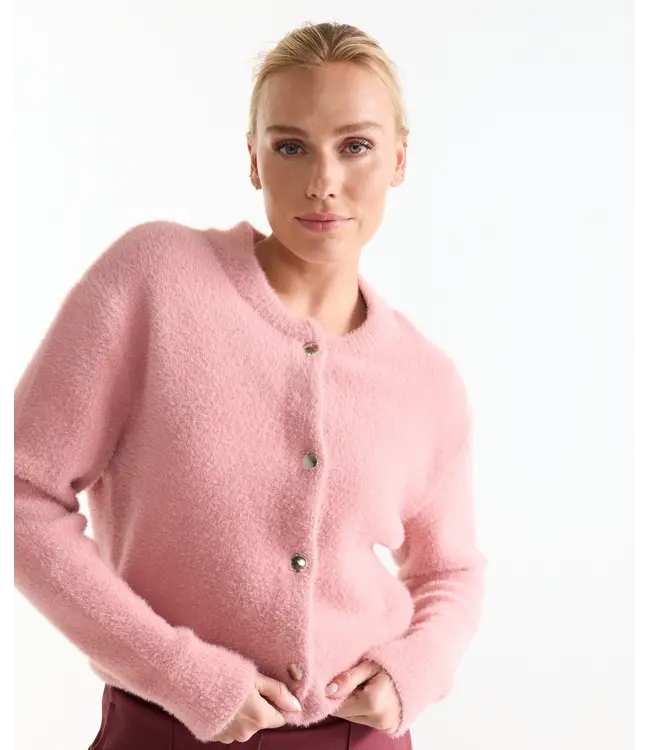 JANSEN AMSTERDAM Jansen Amsterdam Cloe Vest P205 Old Rose