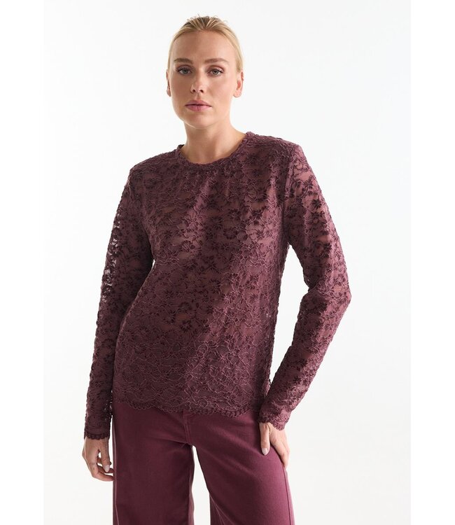 JANSEN AMSTERDAM Jansen Amsterdam Kiki Top FL155 Lace Wine