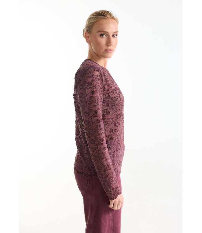 JANSEN AMSTERDAM Jansen Amsterdam Kiki Top FL155 Lace Wine