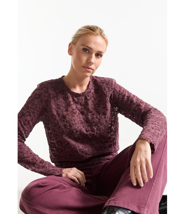JANSEN AMSTERDAM Jansen Amsterdam Kiki Top FL155 Lace Wine