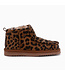 Warmbat Warmbat Barunga BRG 3212 23 Panther Chestnut 4023