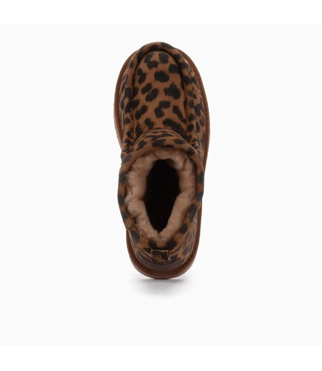 Warmbat Warmbat Barunga BRG 3212 23 Panther Chestnut 4023