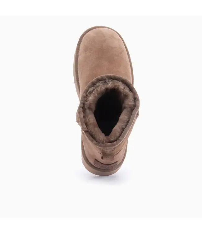 Warmbat Warmbat 3210 Wallaby Mud