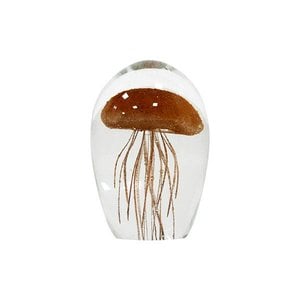 HKliving glass jellyfish M coral