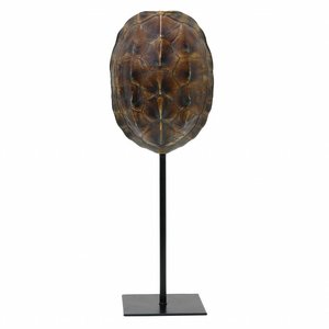 HKliving Schildkrötenpanzer Kunstharz auf Fuß schwarz 11x10x26,5cm