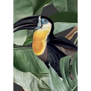 KEK Amsterdam KEK Amsterdam Fotobehang Botanical Birds zwart