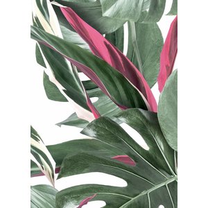 KEK Amsterdam KEK Amsterdam Photo Wallpaper Botanical Monstera white