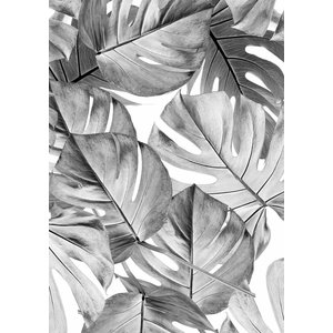 KEK Amsterdam KEK Amsterdam Photo Wallpaper Botanical Monstera black-white