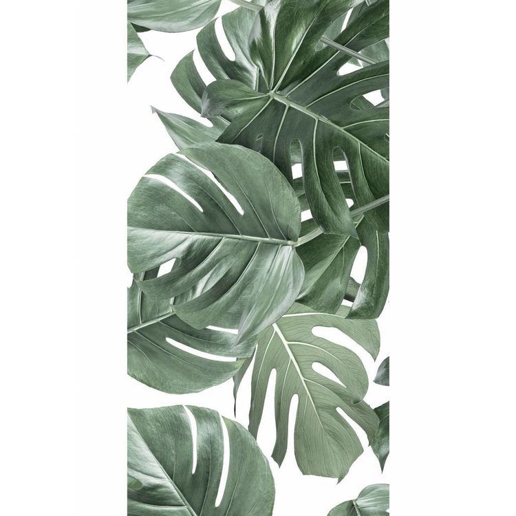 KEK Amsterdam KEK Amsterdam Photo Wallpaper Botanical Monstera white