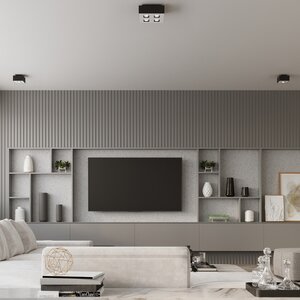 Sollux Lighting Plafondlamp MONO 1 zwart