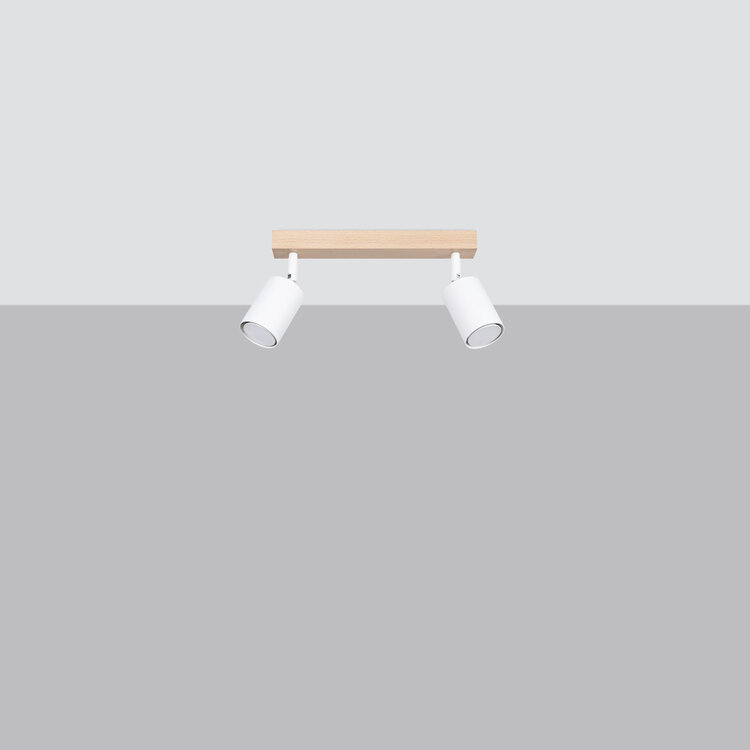 Sollux Lighting Ceiling lamp VERDO 2 white