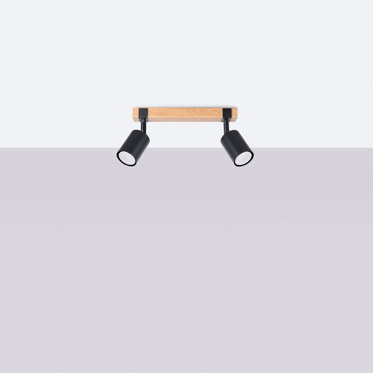 Sollux Lighting Plafondlamp FAGER 2 zwart