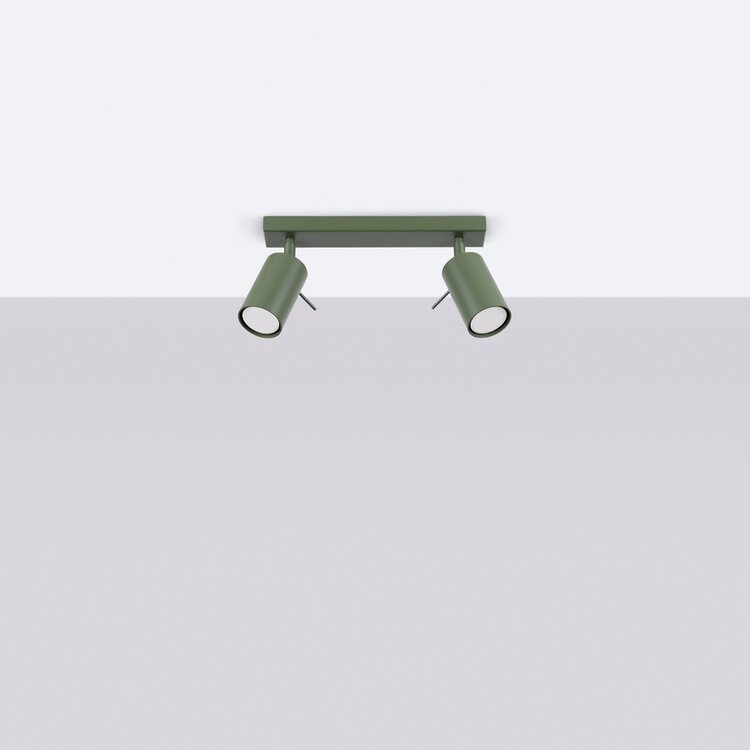 Sollux Lighting Ceiling lamp RING 2 olive green