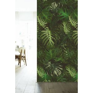 KEK Amsterdam KEK Amsterdam Fotobehang Tropisch Monstera