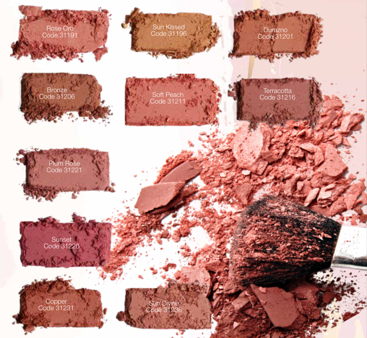 Blusher powder 2024
