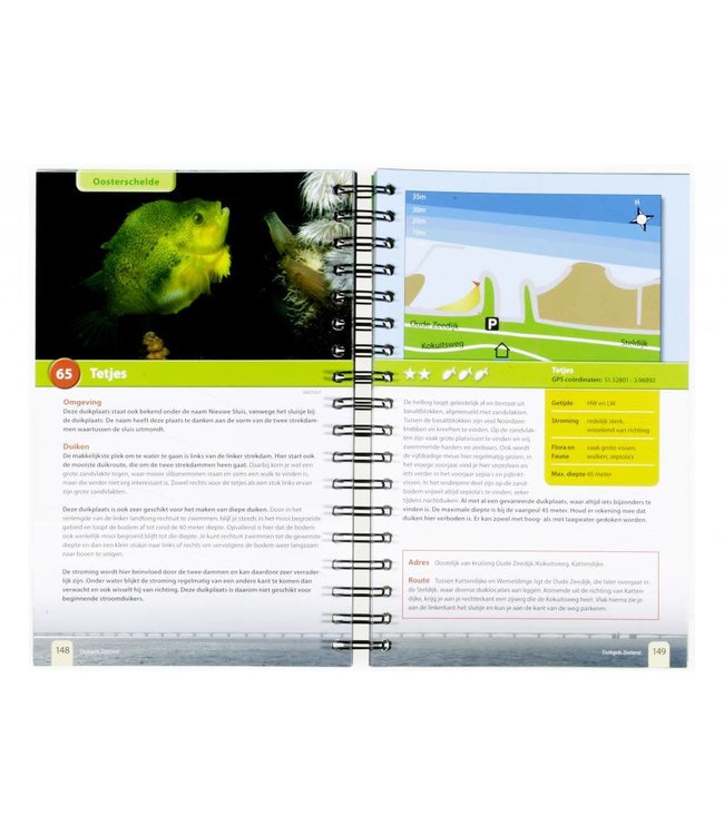 Duikgids Zeeland