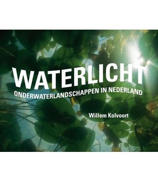 Waterlicht Willem Kolvoort