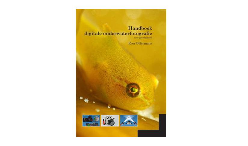 gratisrijbewijs handboek pdf