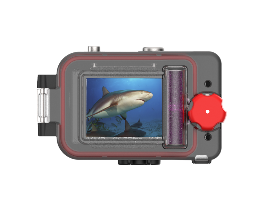 reefmaster camera