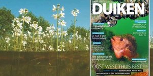 GRATIS Special Duiken In Nederland
