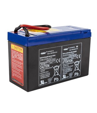 Yamaha Yamaha Battery for RDS200-Explorer-Seal