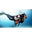 PADI PADI Dive Against Debris elearning