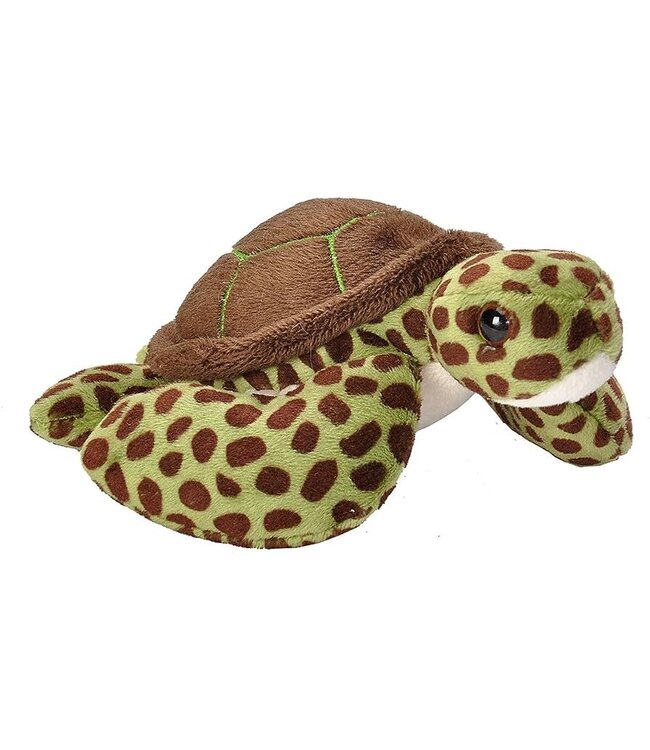 Pocketkins Eco Turtle 13cm