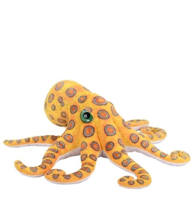 Living Ocean Blue Ringed Octopus 50cm