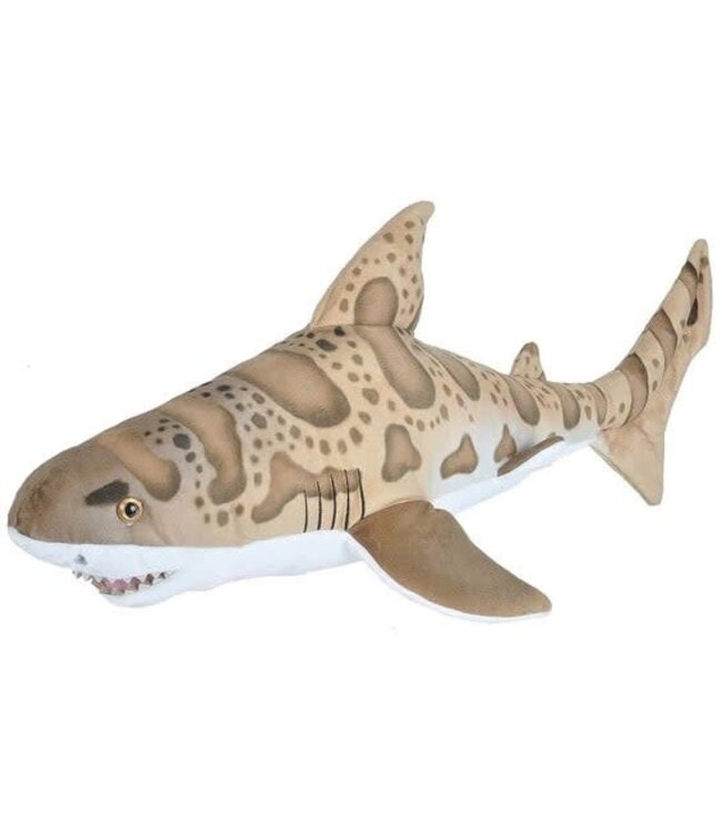 Living Ocean Leopard Shark 50cm