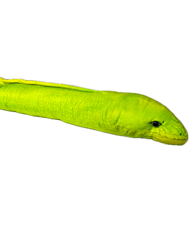 Eel Moray Green 137cm