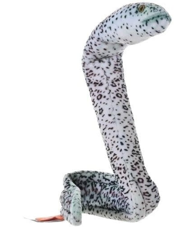 Eel Moray Peppered 137cm