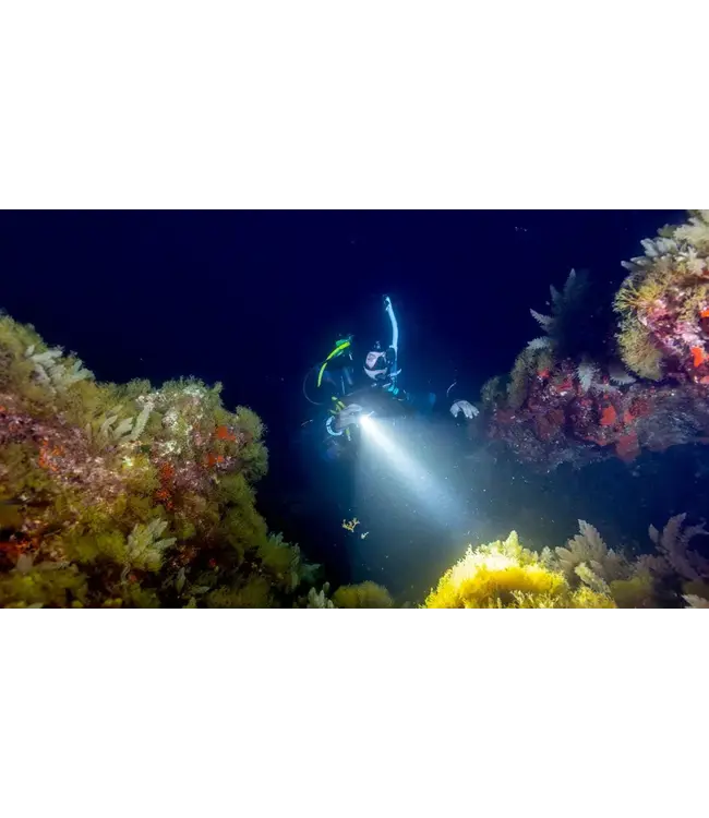 PADI Nachtduiken elearning