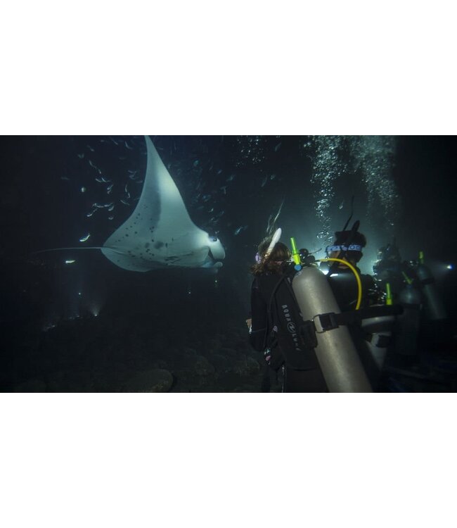 PADI Nachtduiken elearning