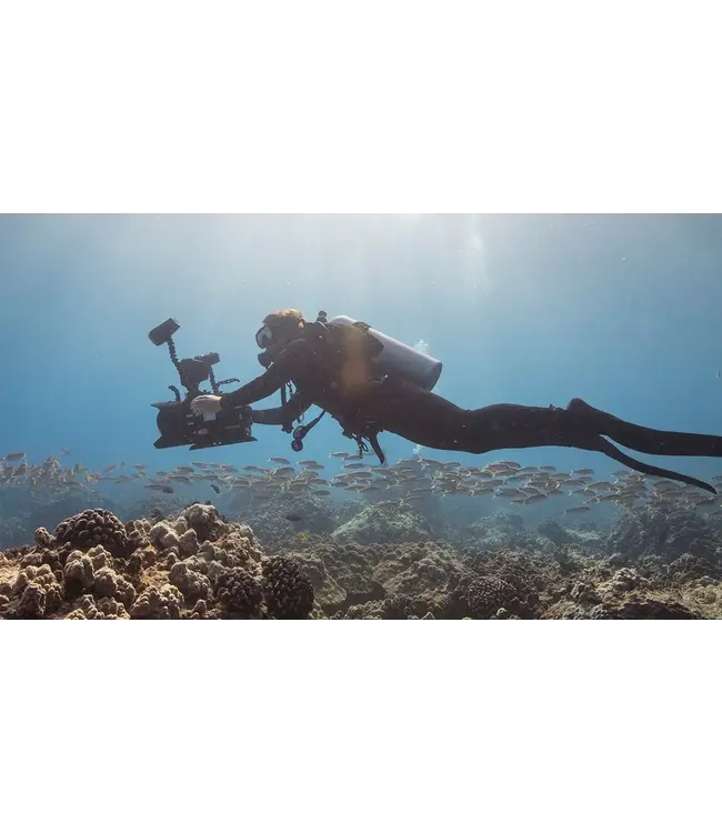 PADI Digital Underwater Photographer elearning