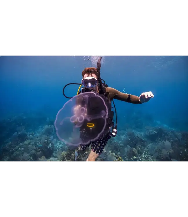 PADI Digital Underwater Photographer elearning