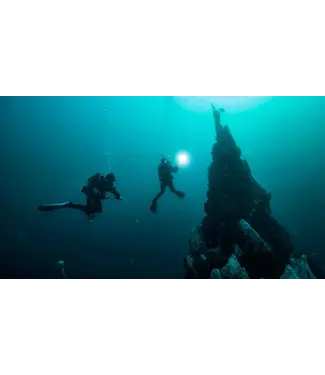 PADI PADI Diep duiken elearning