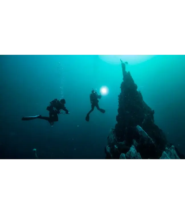 PADI Diep duiken elearning