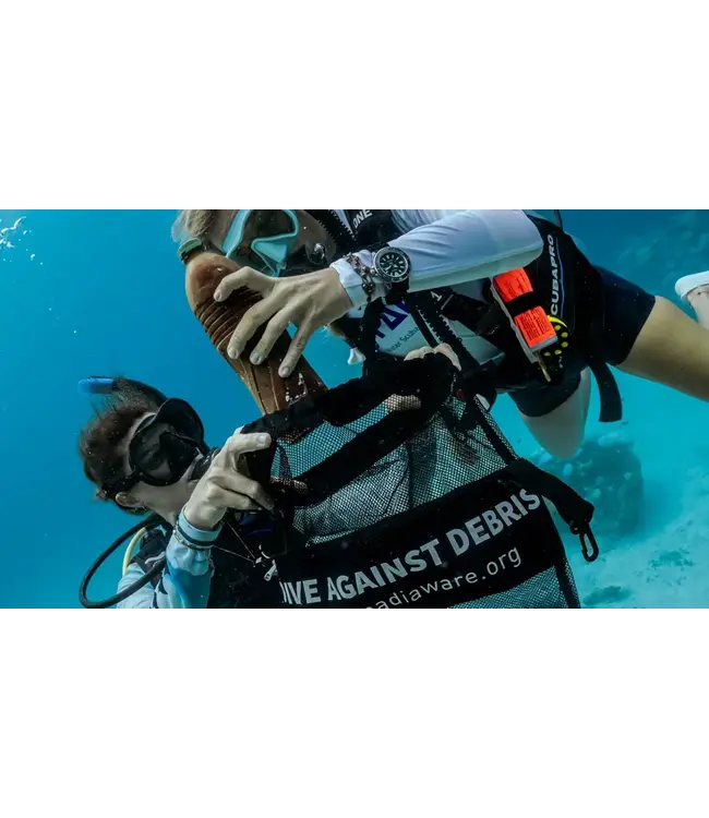 PADI Dive Against Debris elearning